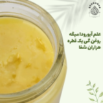 خرید روغن حیوانی (کره گی)