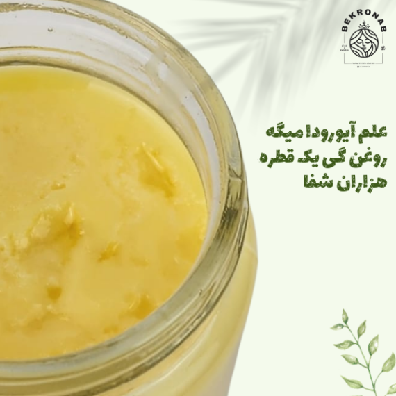 خرید روغن حیوانی (کره گی)