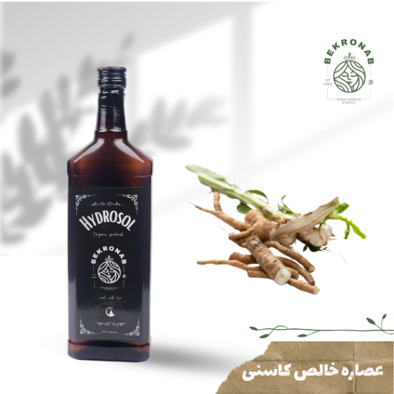 عصاره کاسنی