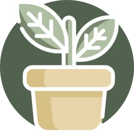 plant pot